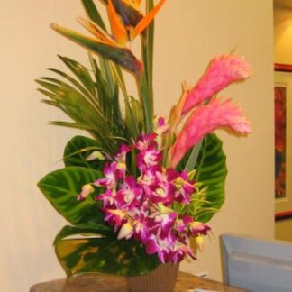 Medium Tropical Arrangment