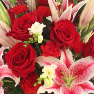 Red Heroman's Special Large