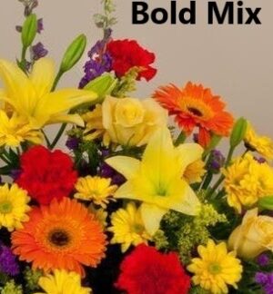 Bold Mix Designer's Choice Extra Large