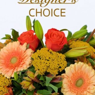 Fall Designer's Choice Medium