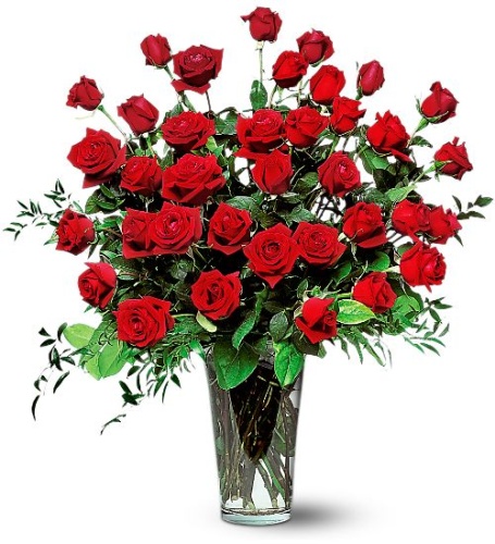 Three Dozen Red Long Stem Roses - Vday