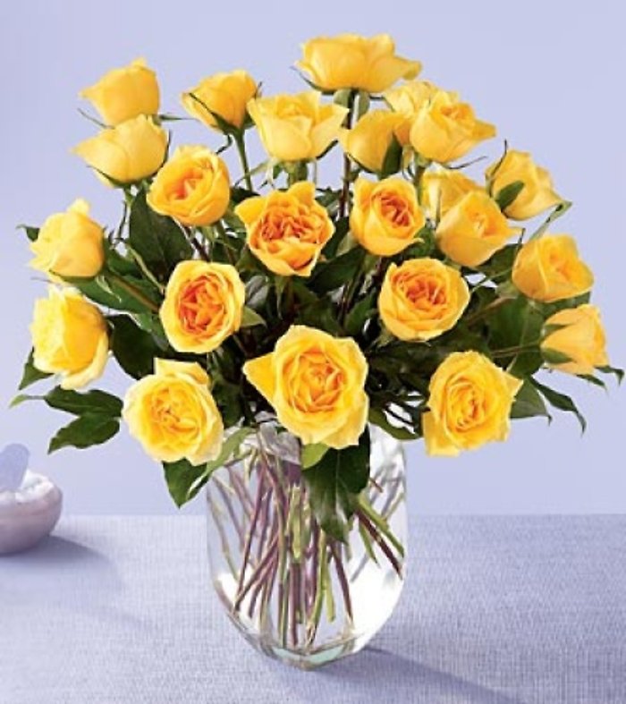 One Dozen Yellow Roses