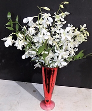 White Orchids in a Red Vase