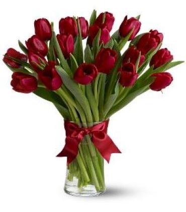 20 Red Tulips in a Vase