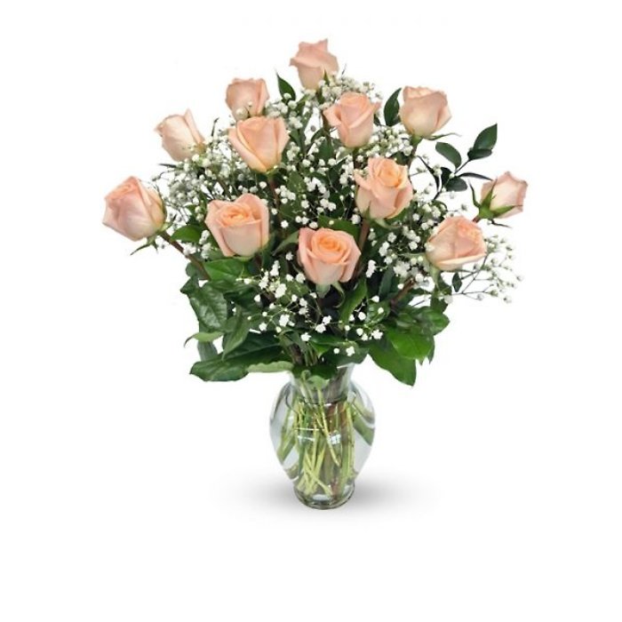 A Dozen Peach Roses