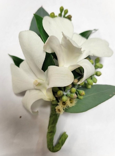 White Orchids w/ Eucalyptus Bout