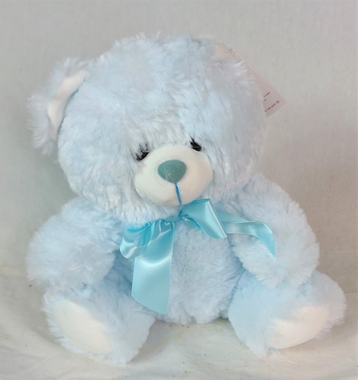 Small Blue Teddy Bear