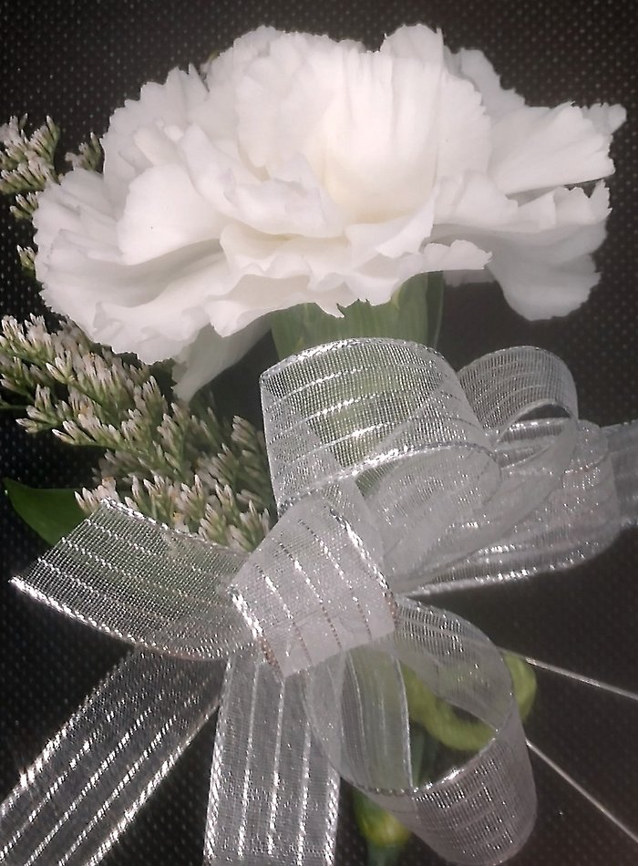 Colorful Carnation Pin-on