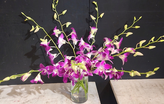 Purple Dendrobium Orchid Vase