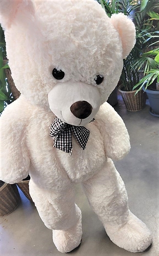 Stuffed Plush Teddy Bear