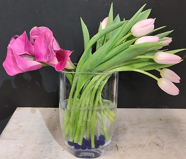 Prettiest Callas and Tulips