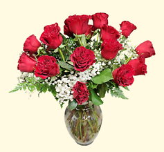 Two Dozen Medium Red Roses