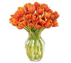 20 Orange Tulips in a Vase