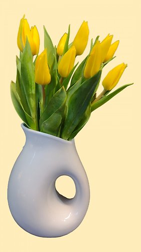 10 Tulips in a Pitcher