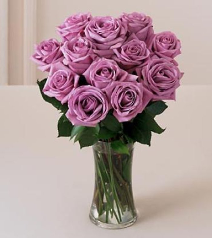 One Dozen Lavender Roses - Mday