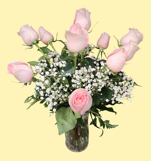 One Dozen Pink Roses