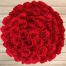 Five Dozen Red Long Stem Roses - Vday