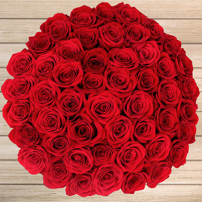 Five Dozen Red Long Stem Roses - Vday