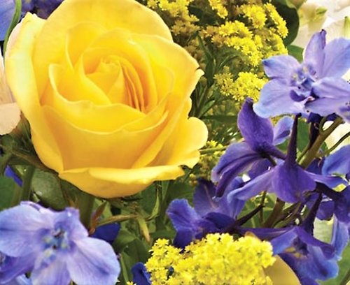 Baby Boy Designer\'s Choice