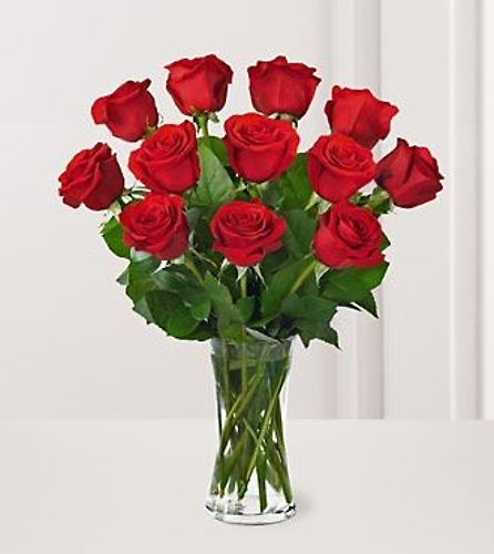 One Dozen Red Long Stem Roses - Vday