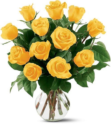 One Dozen Yellow Roses - Mday