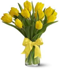 10 Sunny Yellow Tulips
