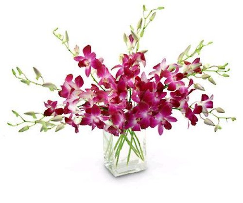Purple Dendrobium Orchid Vase