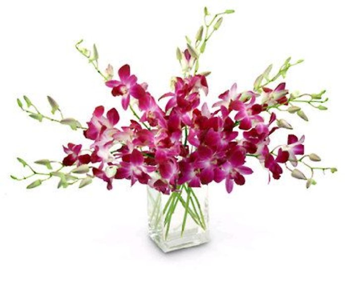 Purple Dendrobium Orchid Vase