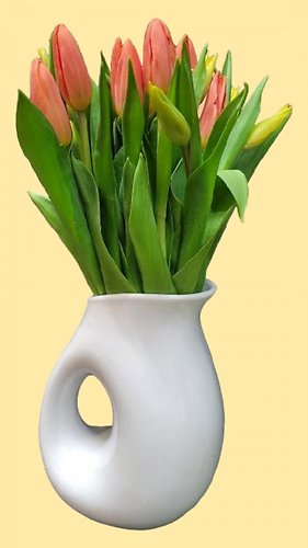 20 Tulips in a Pitcher