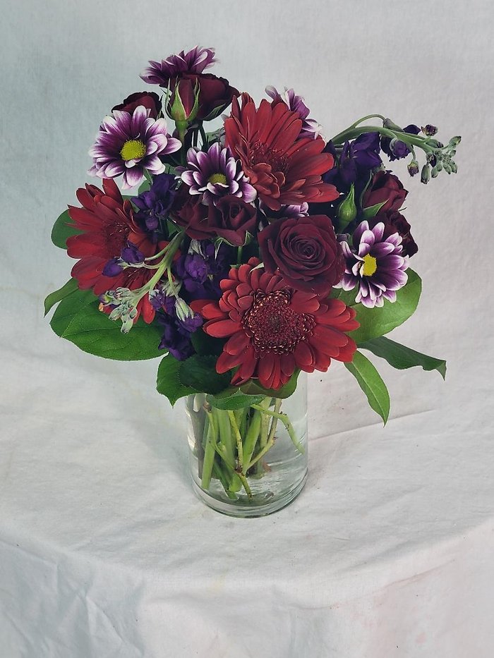 Did nothing wrong, but still sorry