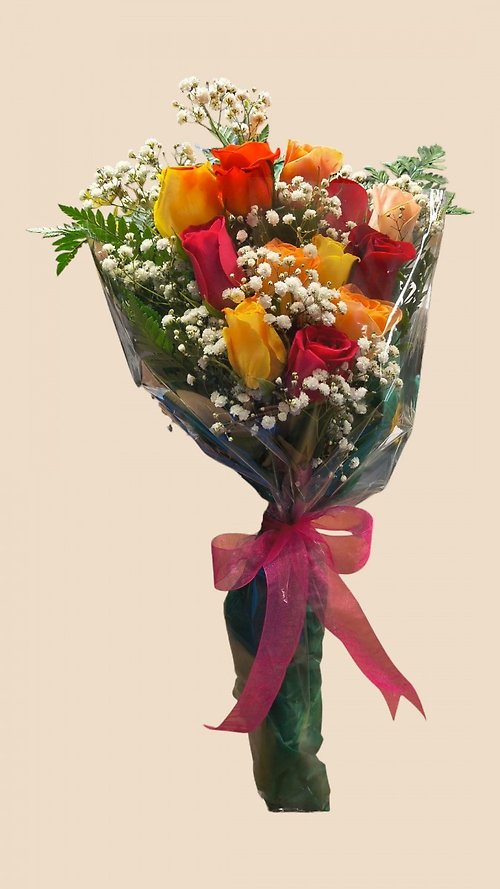 Dozen Mixed Medium Stemmed Roses Wrapped