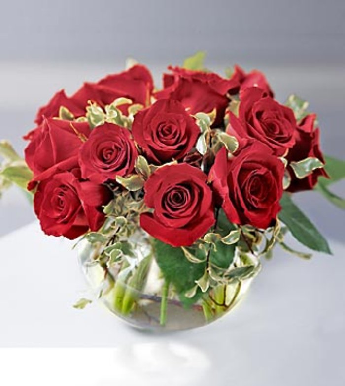 The Contemporary Premium Rose Bouquet