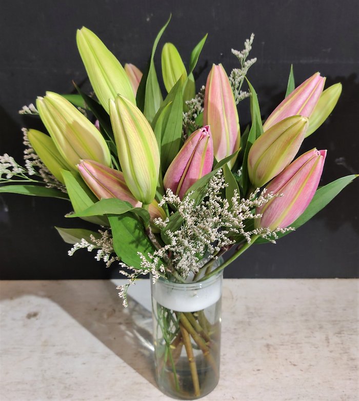 Stargazers in a Vase