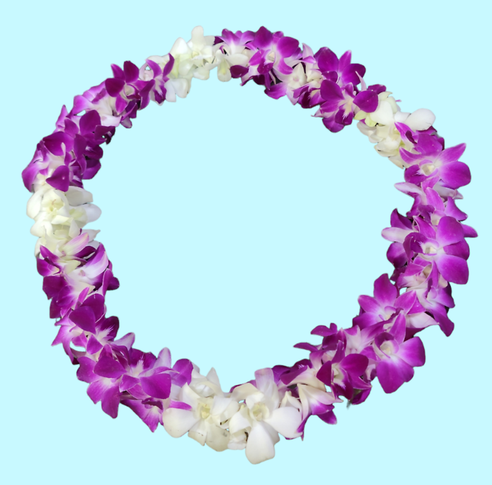 White Orchid Lei