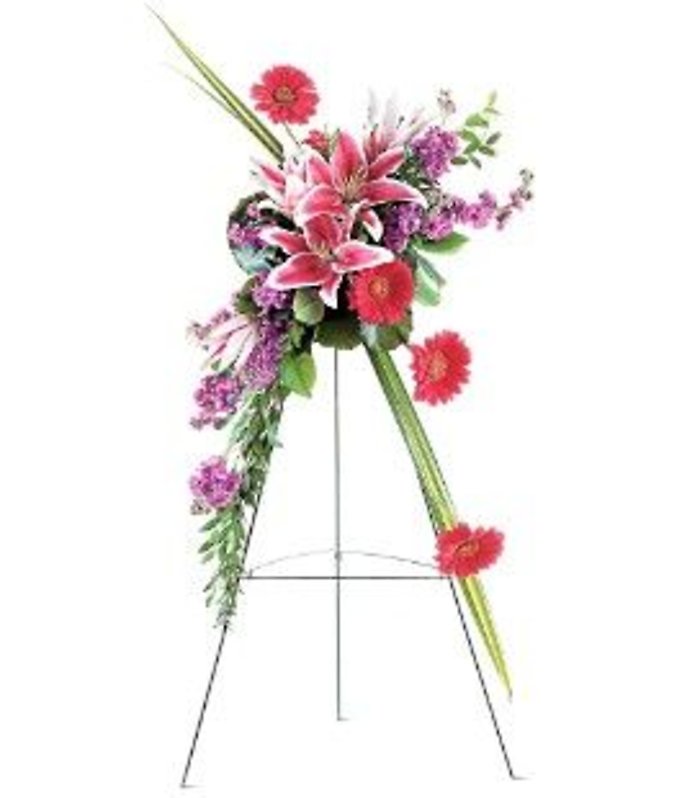 Stargazer Spray on a Stand