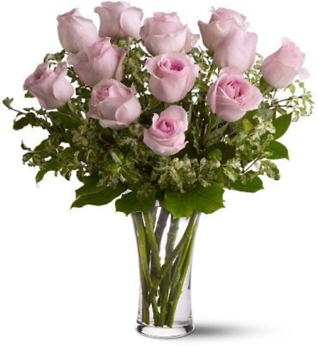 One Dozen Pink Roses - Mday