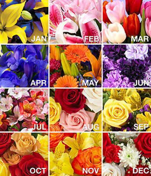 Flowers for a Year