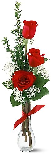 3 Red Roses - Mday