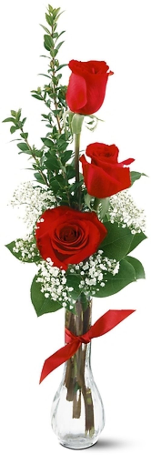 3 Red Roses - Mday