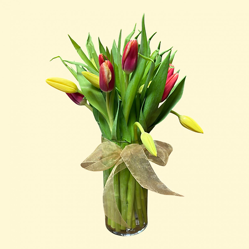 20 Tulips Prettiest Color - Vday