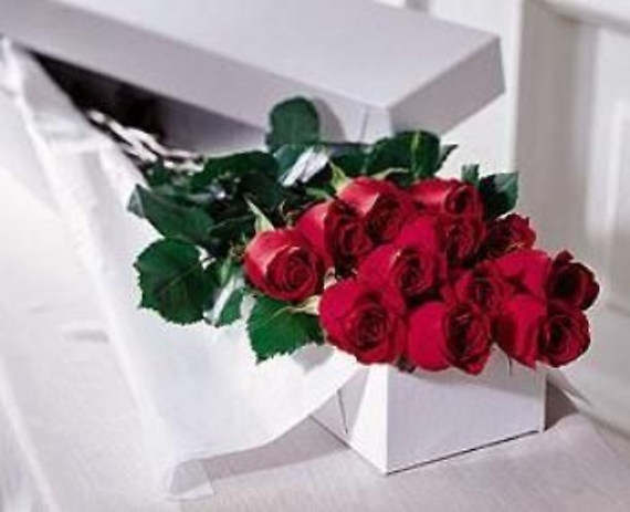 Dozen Roses Boxed