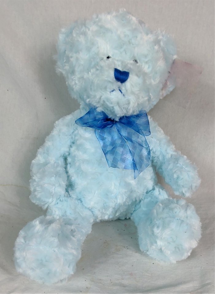 Small Blue Teddy Bear