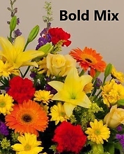 Bold Mix Designer\'s Choice Medium
