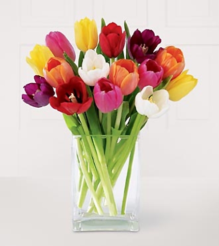 10 Tulips Prettiest One color