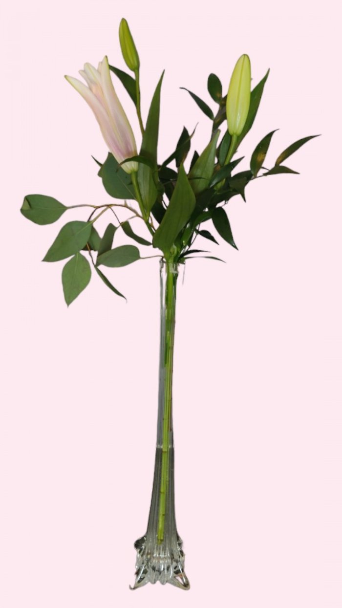 Tall Lily Bud Vase