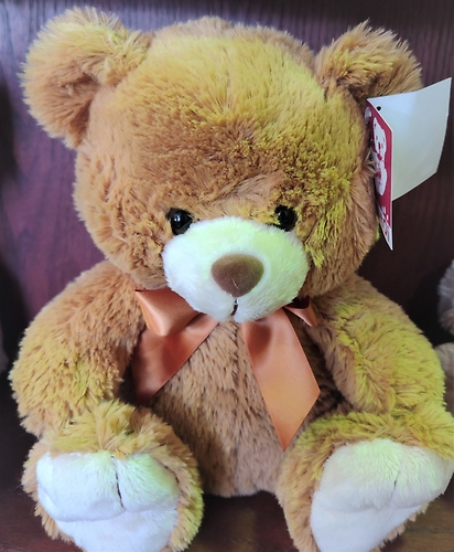 Stuffed Plush Teddy Bear