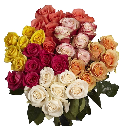 Half Dozen Prettiest Color Roses - Vday