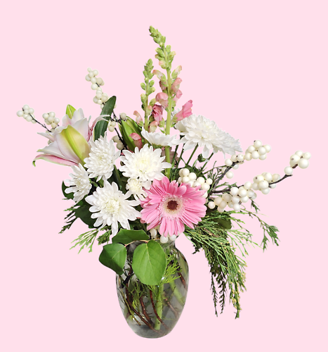 Choose Your Color Holiday