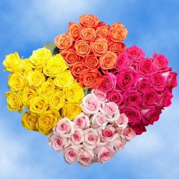 Four Dozen Prettiest Color Roses - Vday