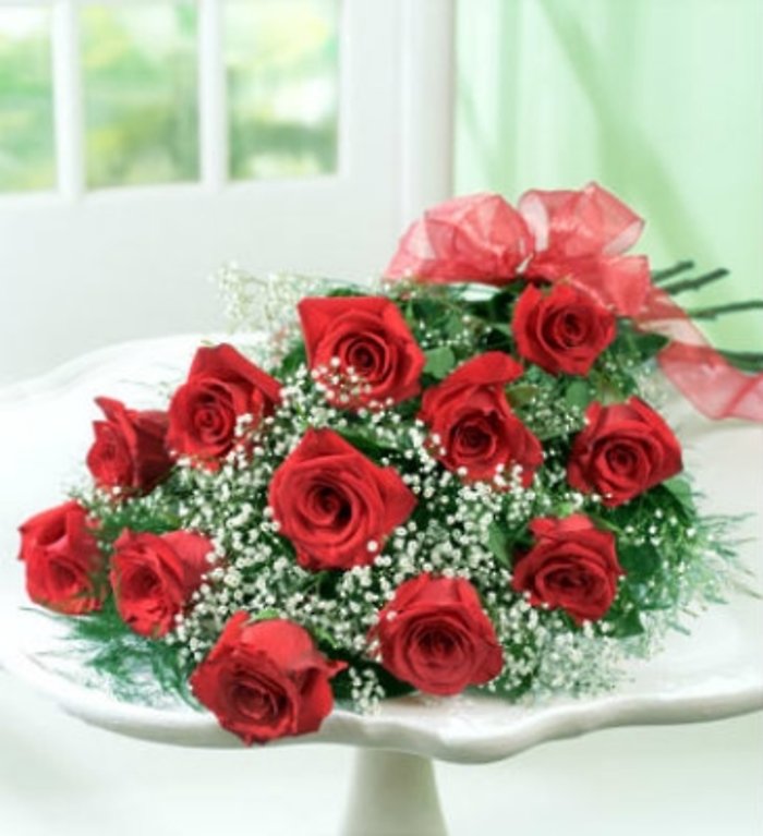 Long Stem Dozen Red Roses Wrapped